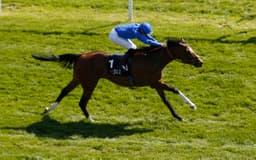 Who To Follow At Newmarket On Thursday image