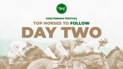Top horses to follow on Cheltenham Festival Day 2 image
