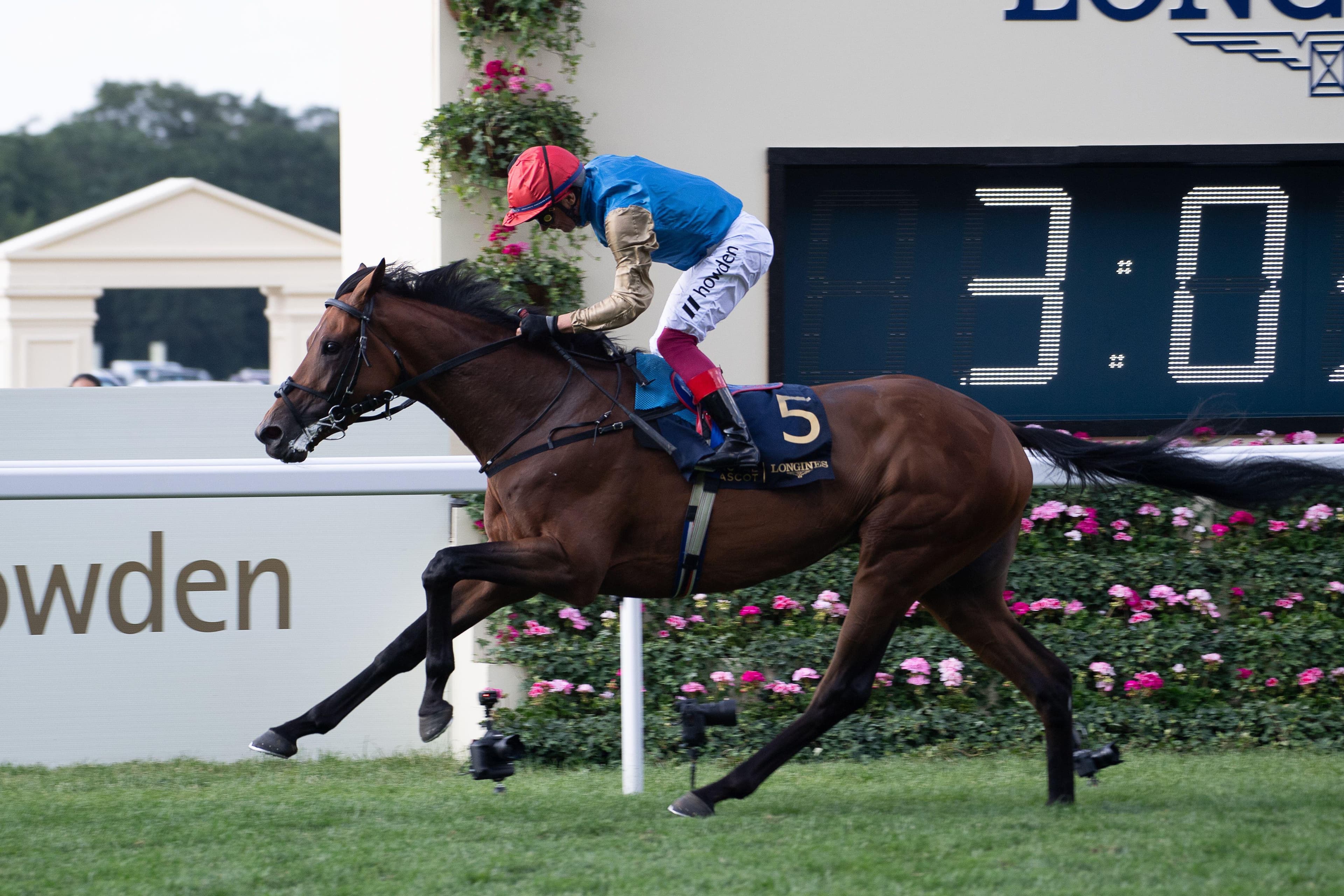 ITV Racing Tips for Today - Saturday 4th October image