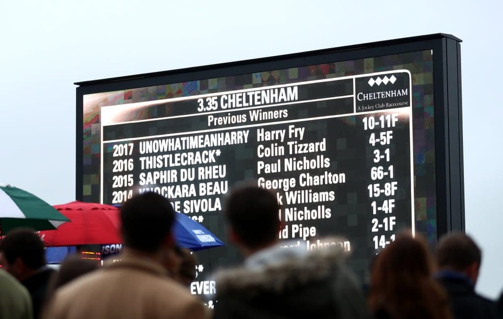 odds at the cheltenham festival