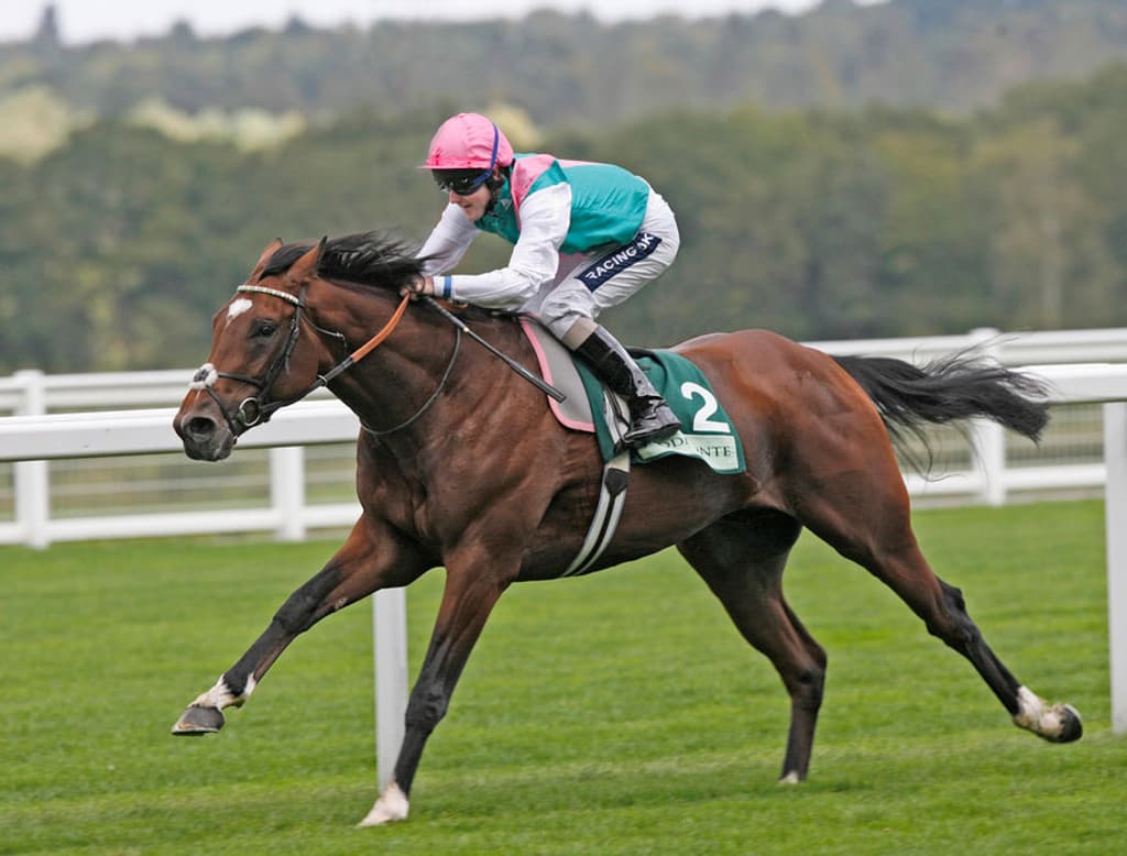 Frankel Foals racing
