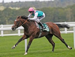 Frankel & Kingman Tracker image