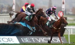 Three current overpriced horses for the Cheltenham festival image