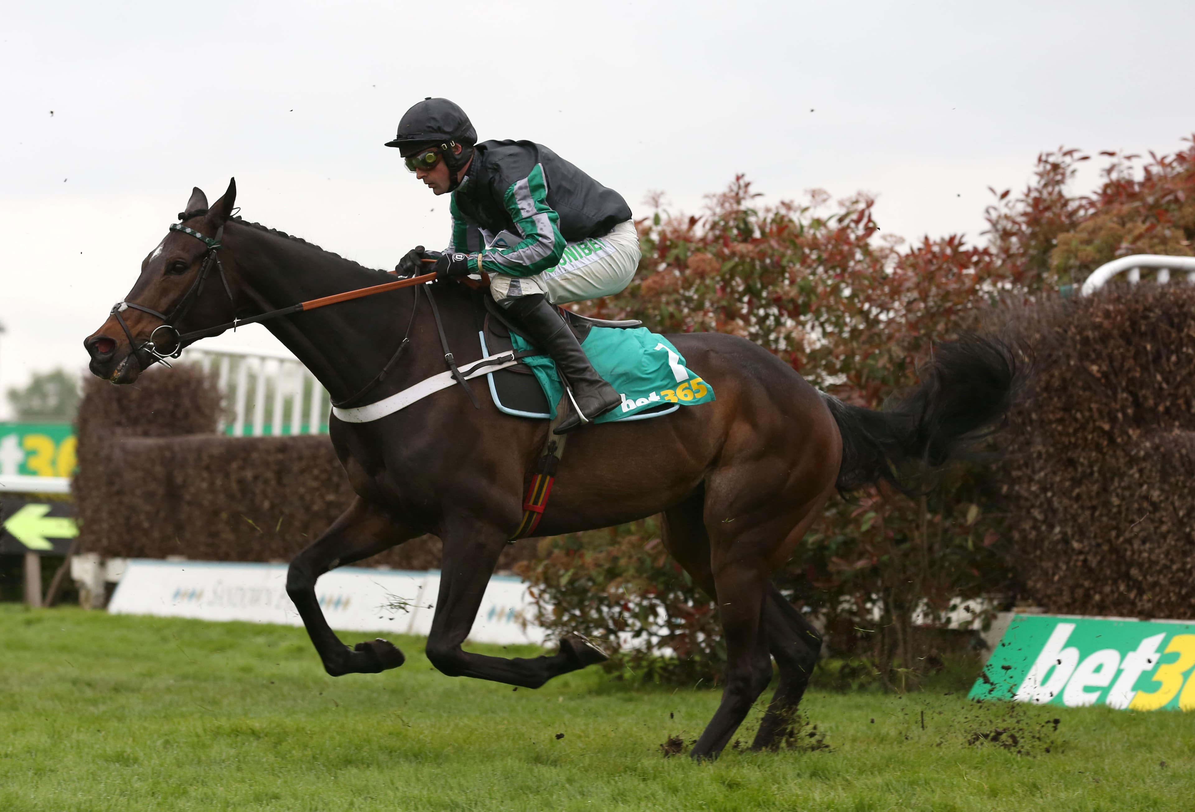 Kempton Thursday Preview