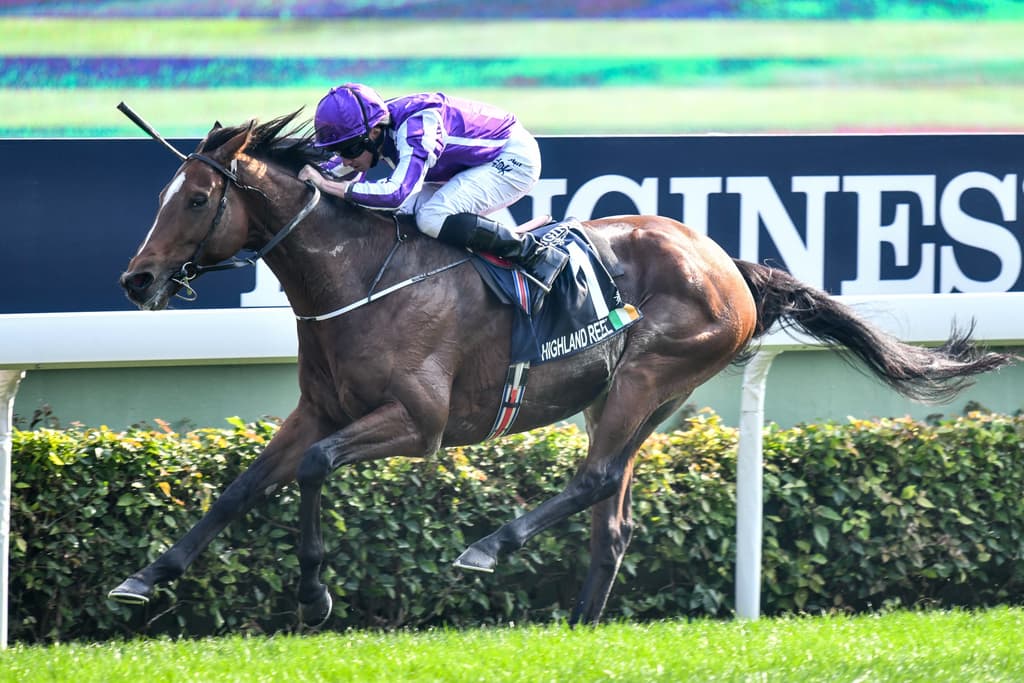 highland reel
