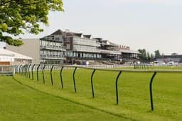 One Trainer Is Sending One Horse On A 428 Mile Round Trip image