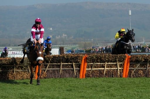 Will Tiger Roll Be The Shortest-Price Favourite In The History Of The National? image