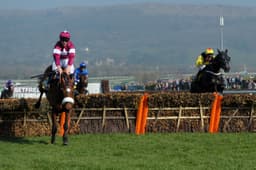 Top Three Gigginstown Horses Of All Time image