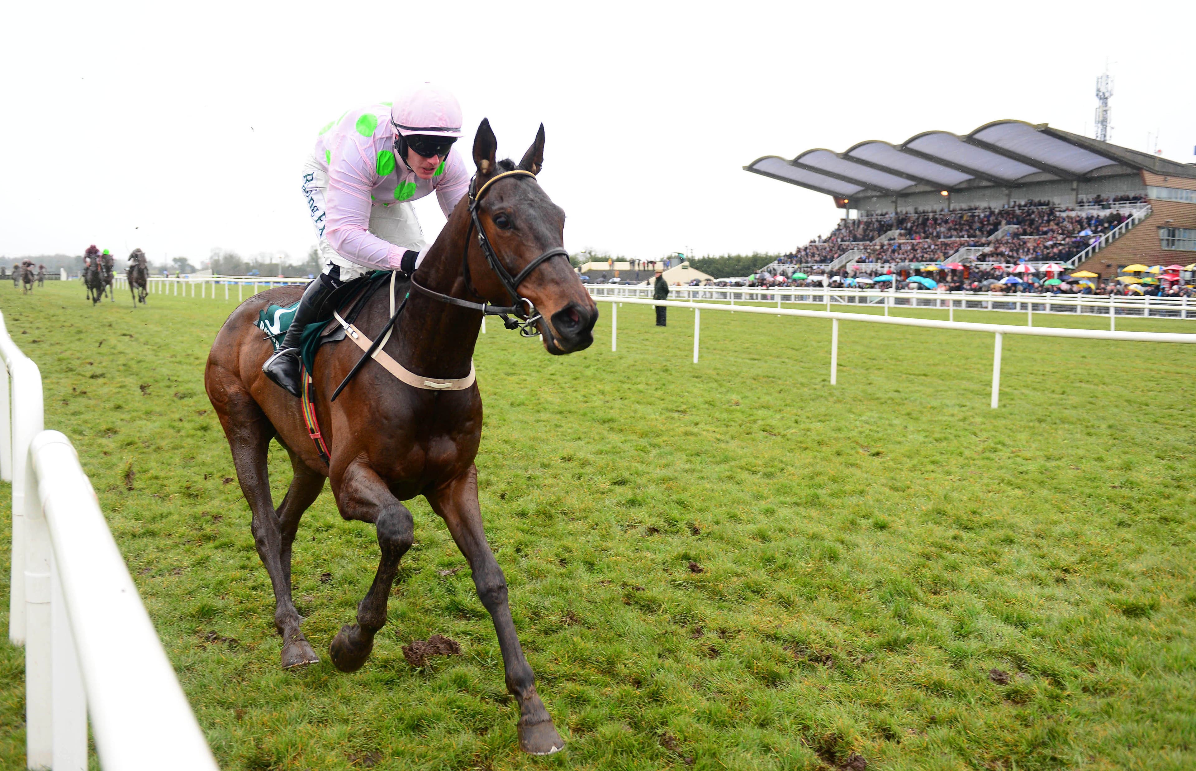 Leopardstown Friday Preview