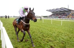Leopardstown Friday Preview image