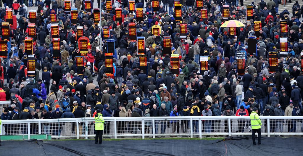 bookmakers betting at cheltenham festival