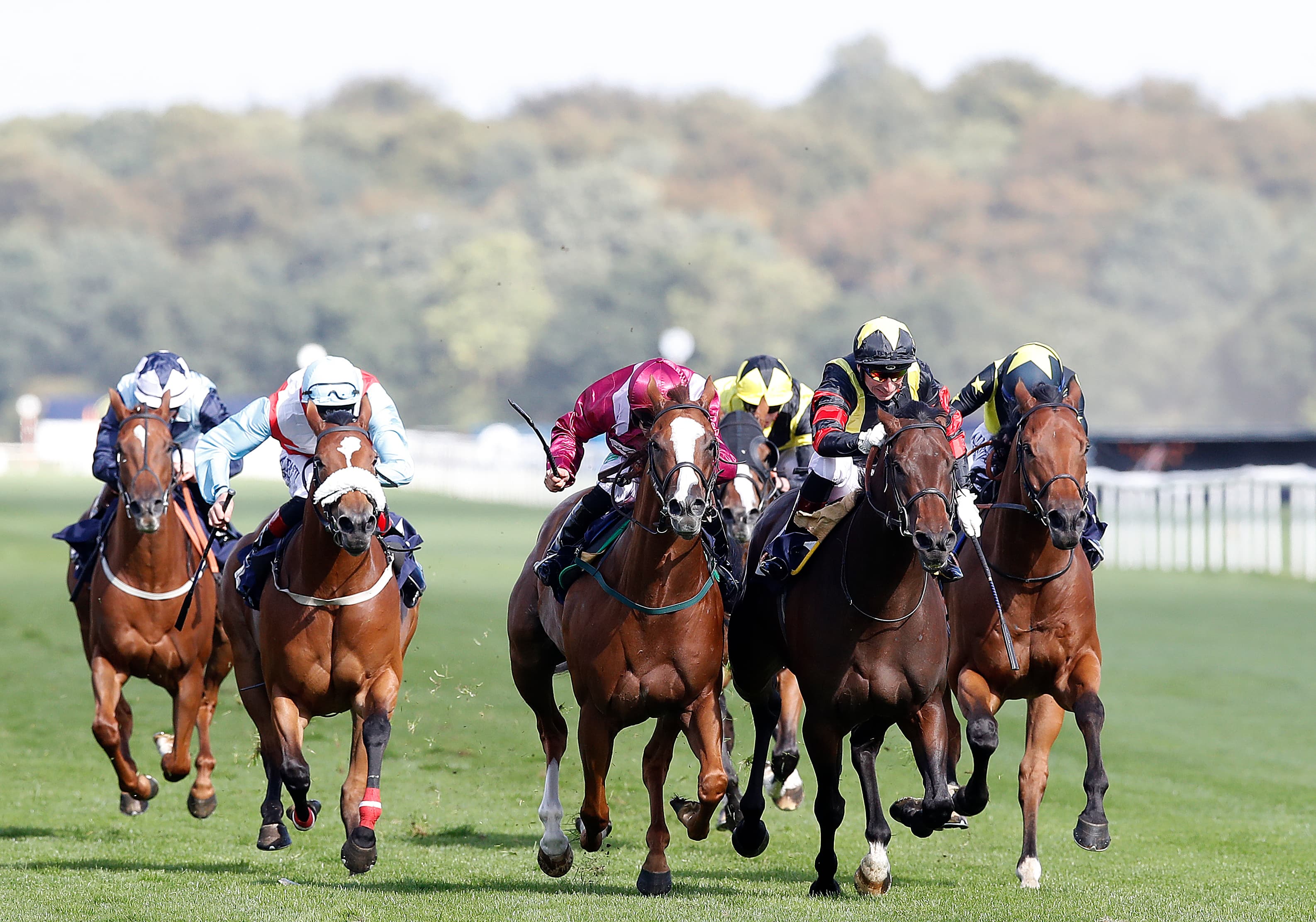 Classification Of Races