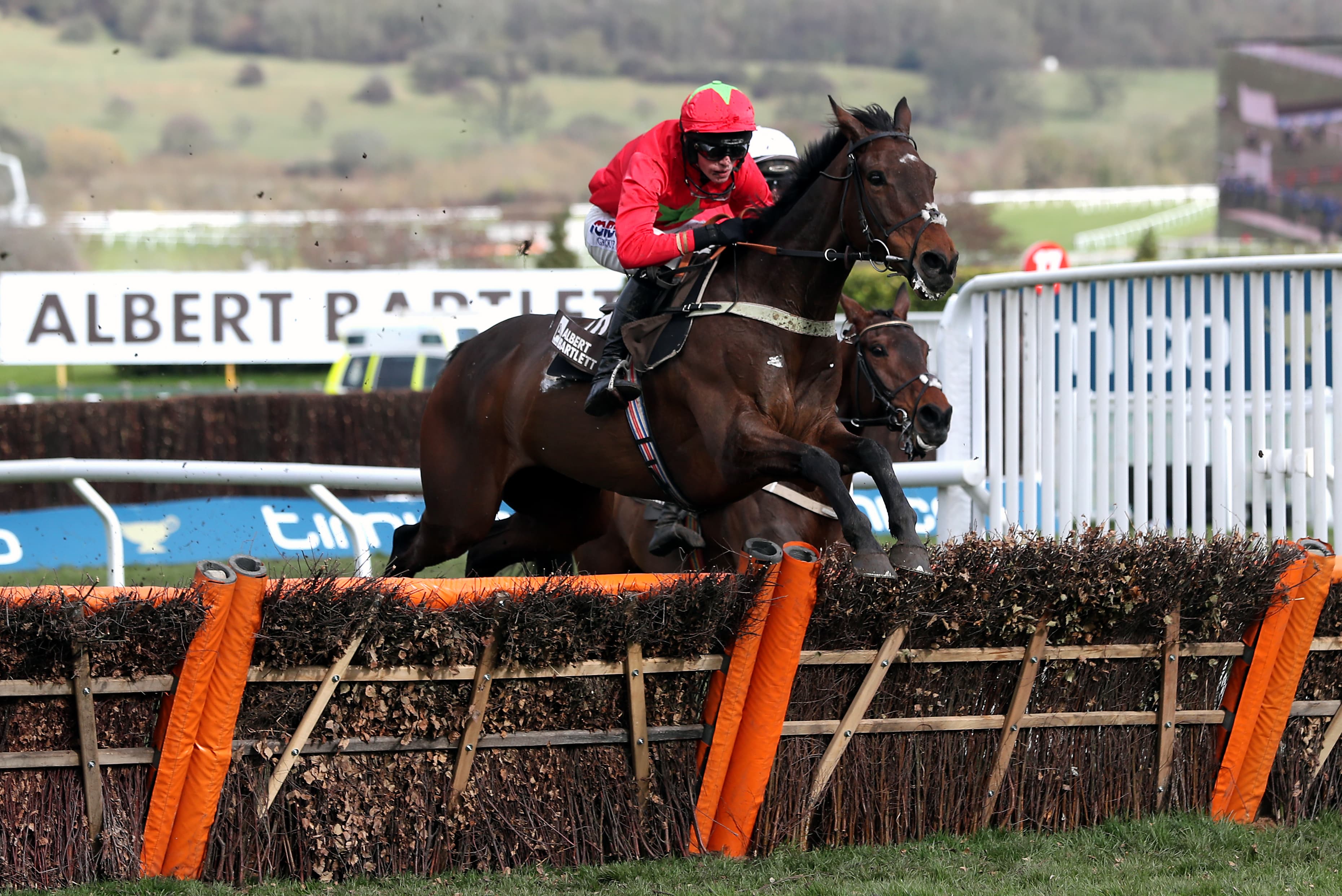 Cheltenham Festival Ante-Post Albert Bartlett Novices' Hurdle Selection 2023