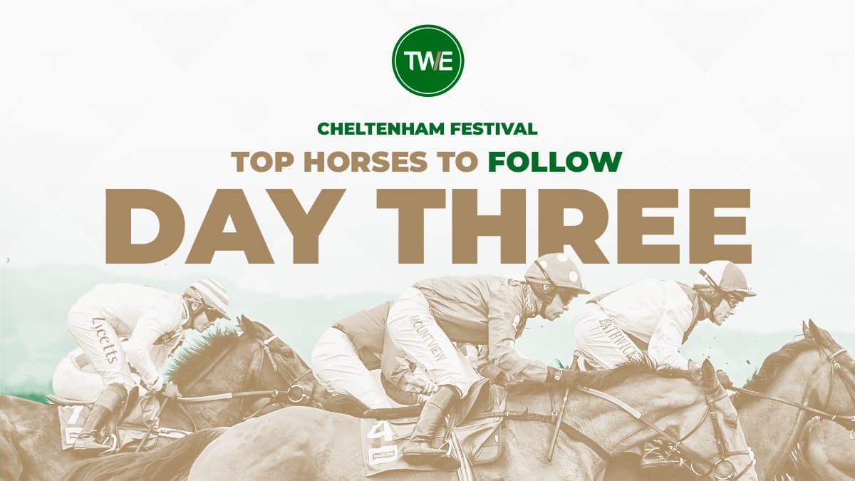 Top horses to follow on cheltenham festival day 3 image