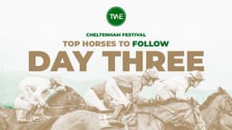 Top horses to follow on cheltenham festival day 3 image