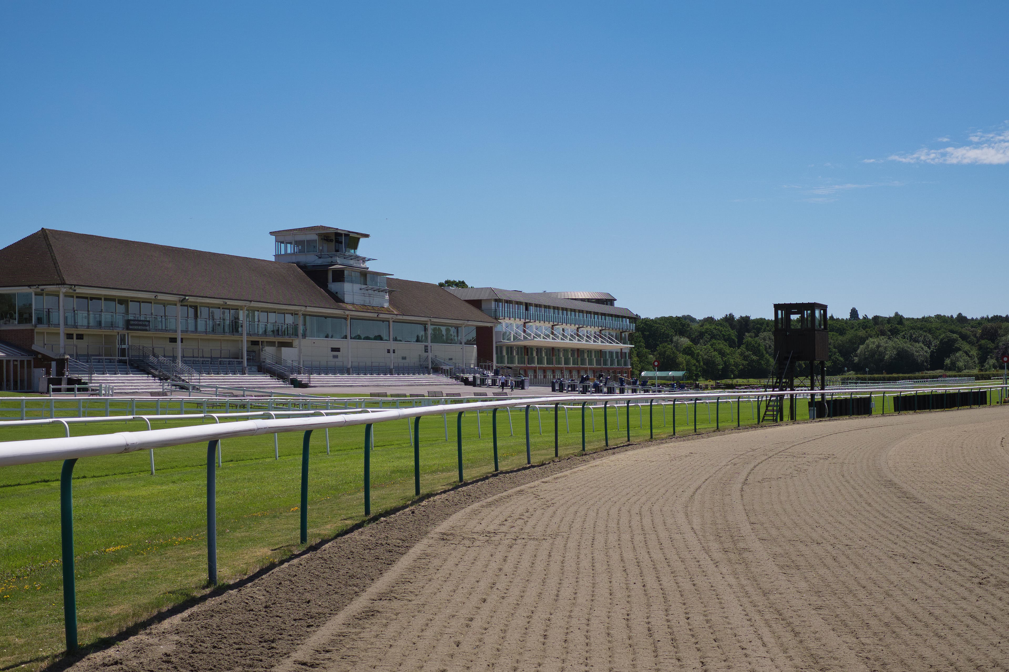 A Trainer Is Sending A Runner On A 542 Mile Round Trip To Lingfield image