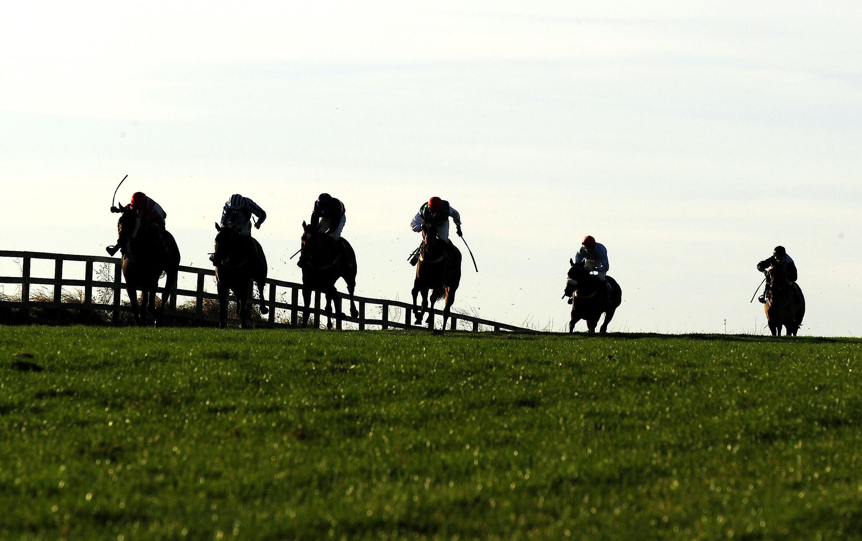 A Trainer Is Sending A Single Runner On A 291 Mile Round Trip To Sedgefield image