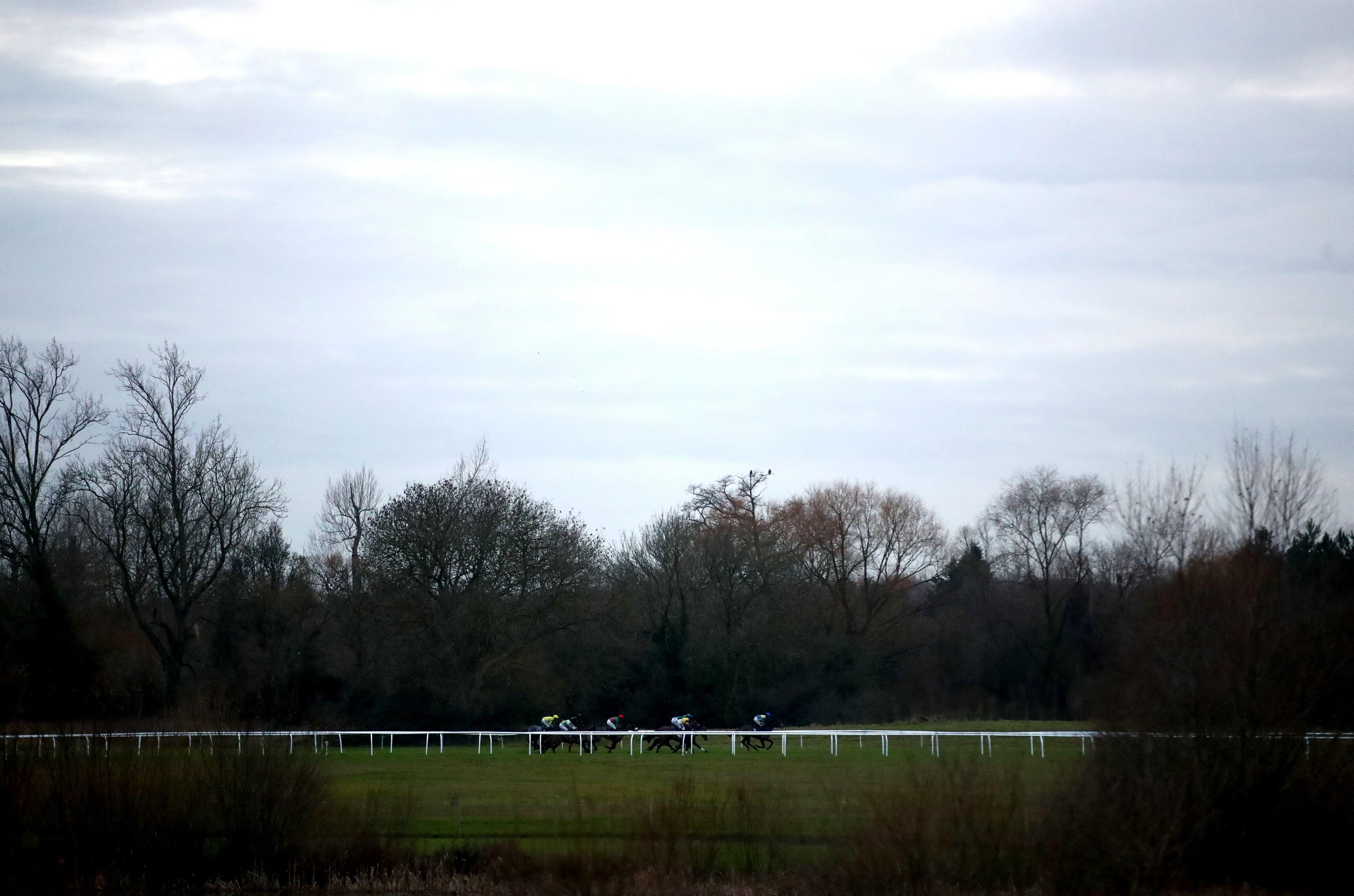 A Trainer In Form Sends Out Only One Runner Today  image