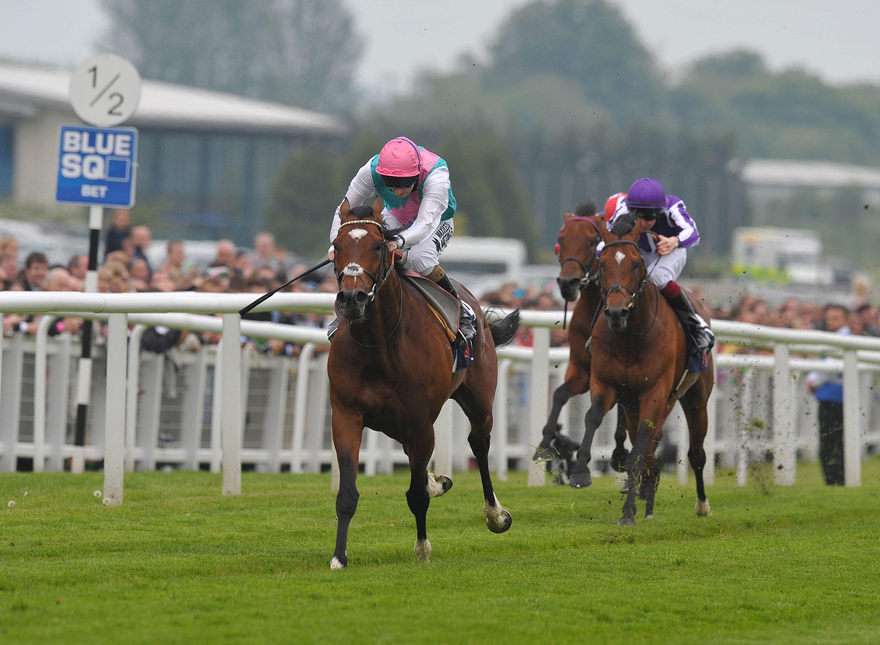 BOYLE Sports: Bet £10 Get £40 in Free Bets for ITV Racing | Tips for Saturday 15th August 