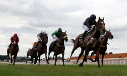 Curragh Friday Preview image