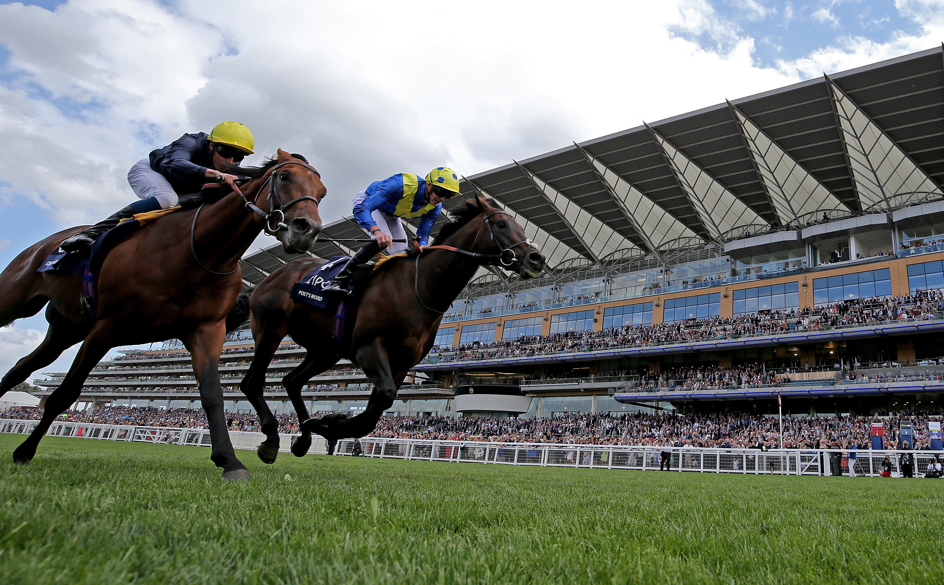 Ascot Saturday Preview