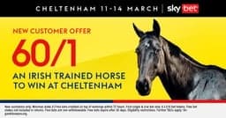 Sky Bet Sign Up Offer: 60/1 An Irish Trained Horse To Win At Cheltenham image