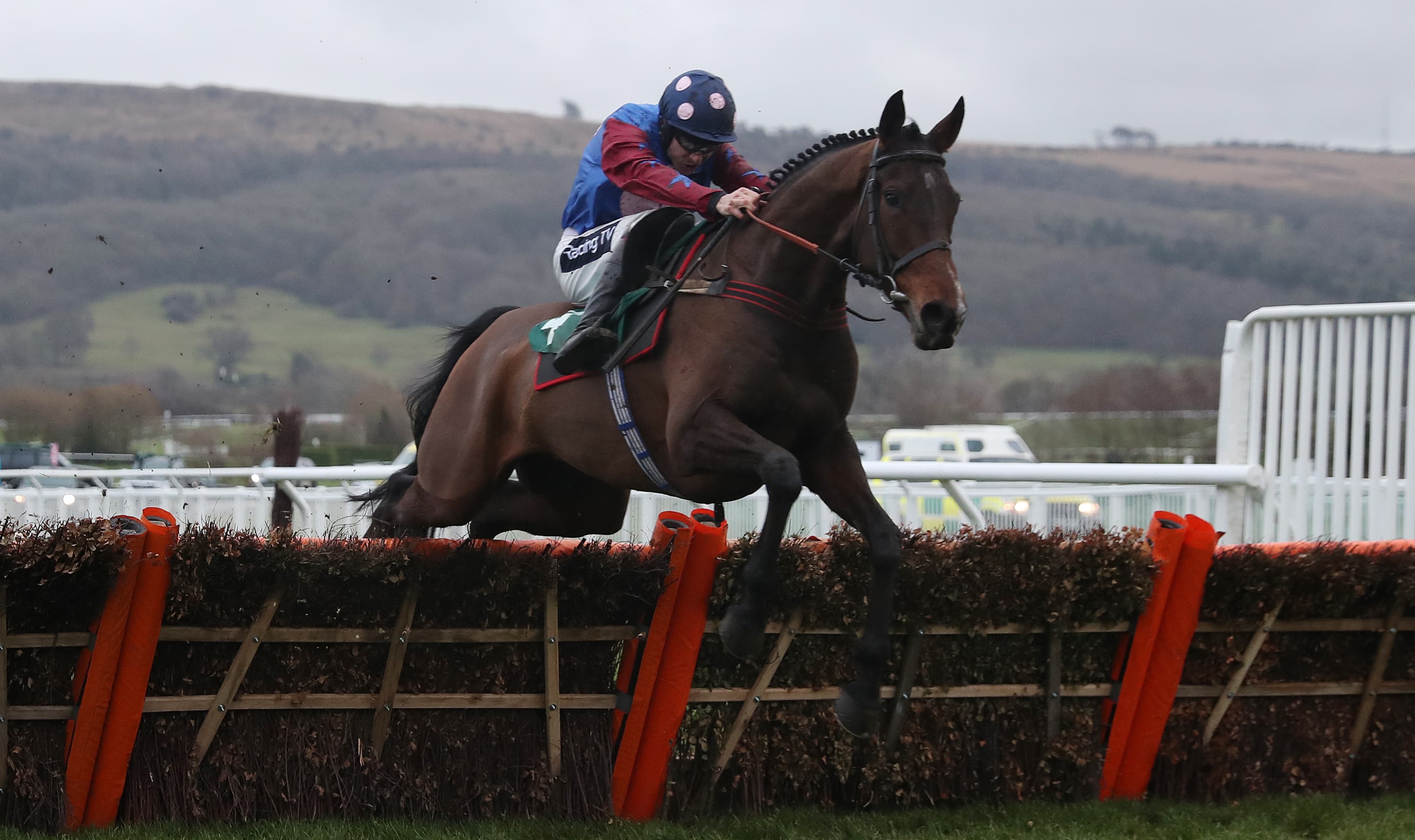 Stayers Hurdle Guide