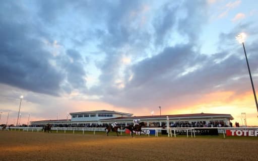 One trainer is sending one horse on a 462 mile round trip to Chelmsford image