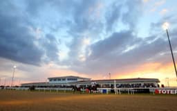 One trainer is sending one horse on a 462 mile round trip to Chelmsford image