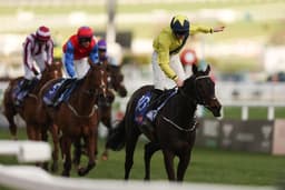 Cheltenham Festival Lucky 15 Tips For Day 1 image