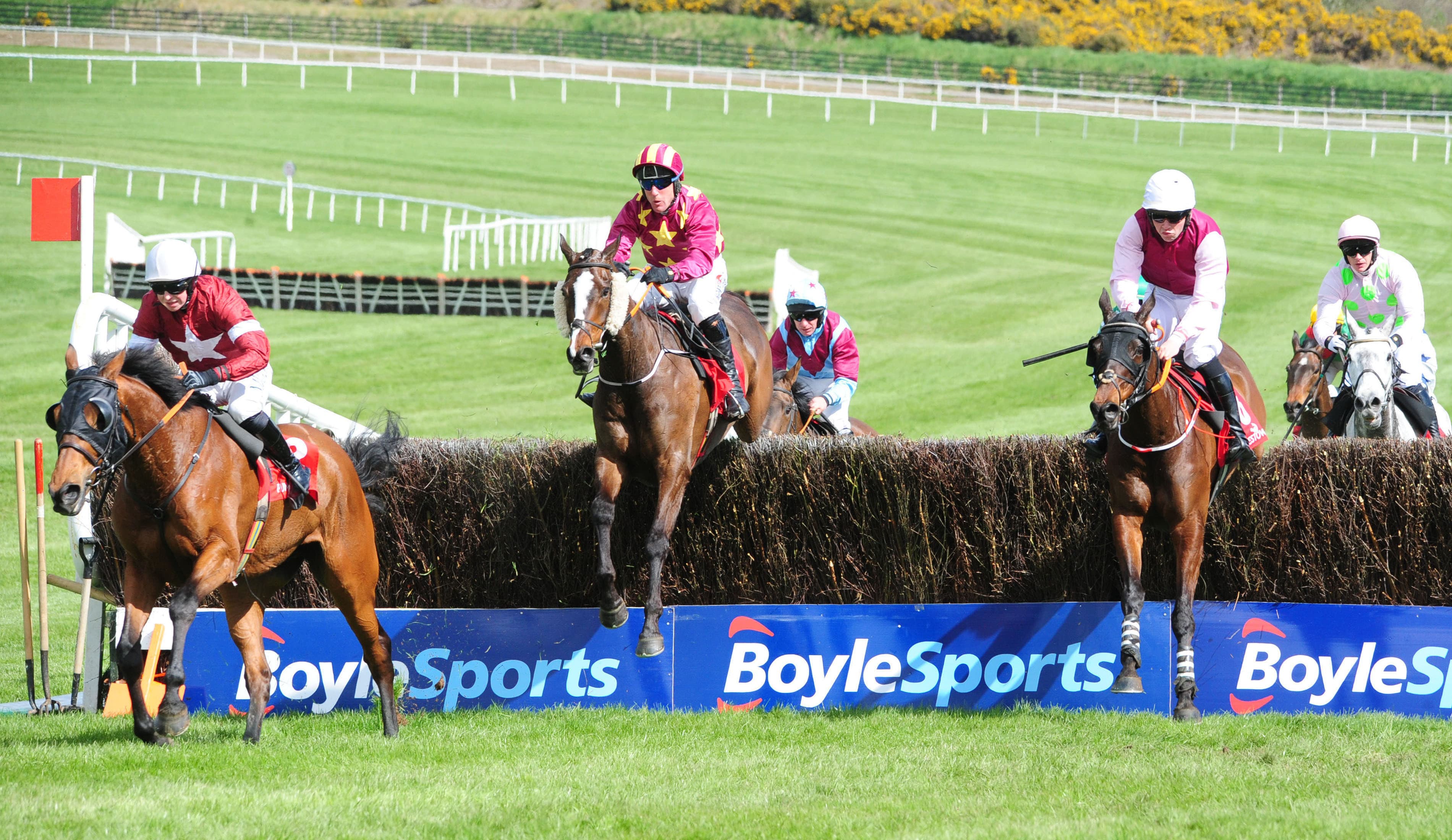 Punchestown Sunday Preview