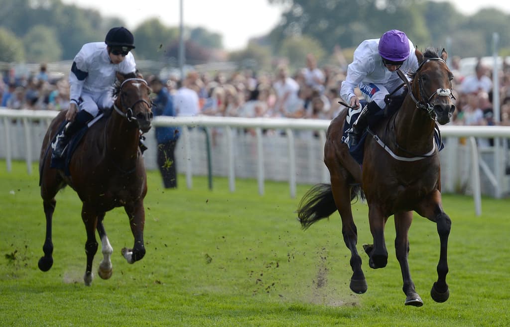 sands of mali flat racing sprint
