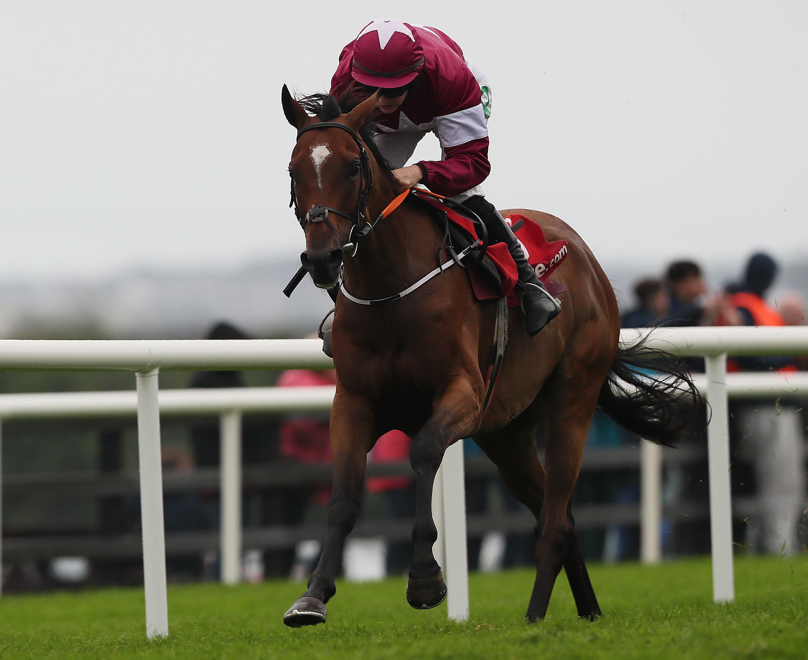 Rachel Blackmore closes gap in Irish Jockeys Championship