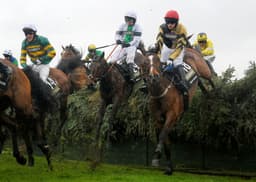Irish Grand National Guide image