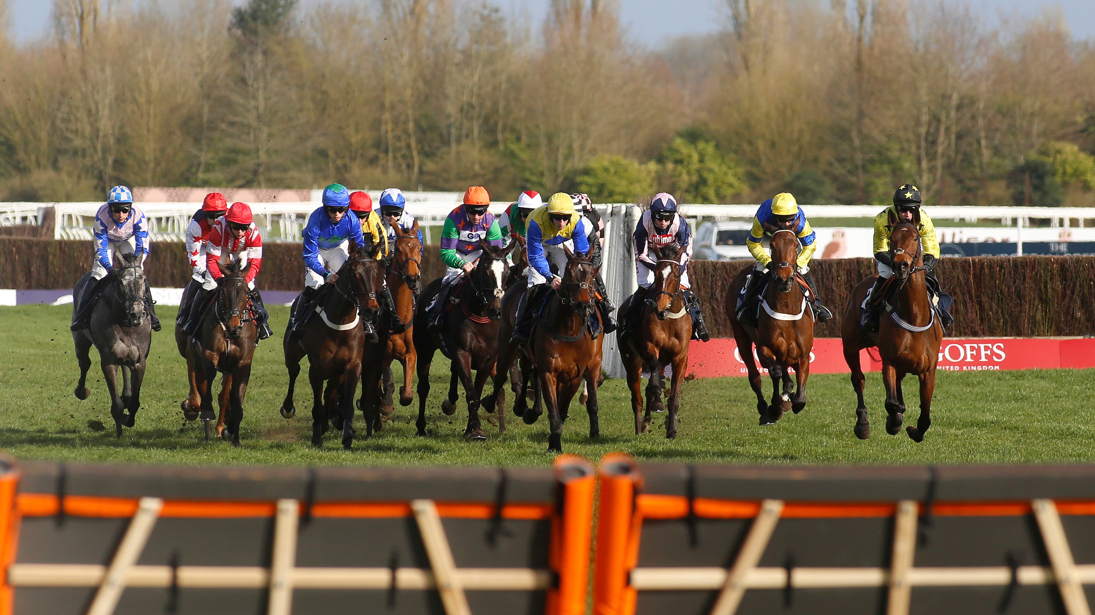 A Trainer Is Sending One Horse On A 566 Mile Round Trip To Newcastle