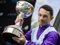Cesarewitch Trends image