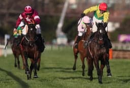 Navan Sunday Jumps Preview image
