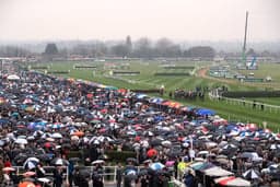 Aintree Sunday Preview image