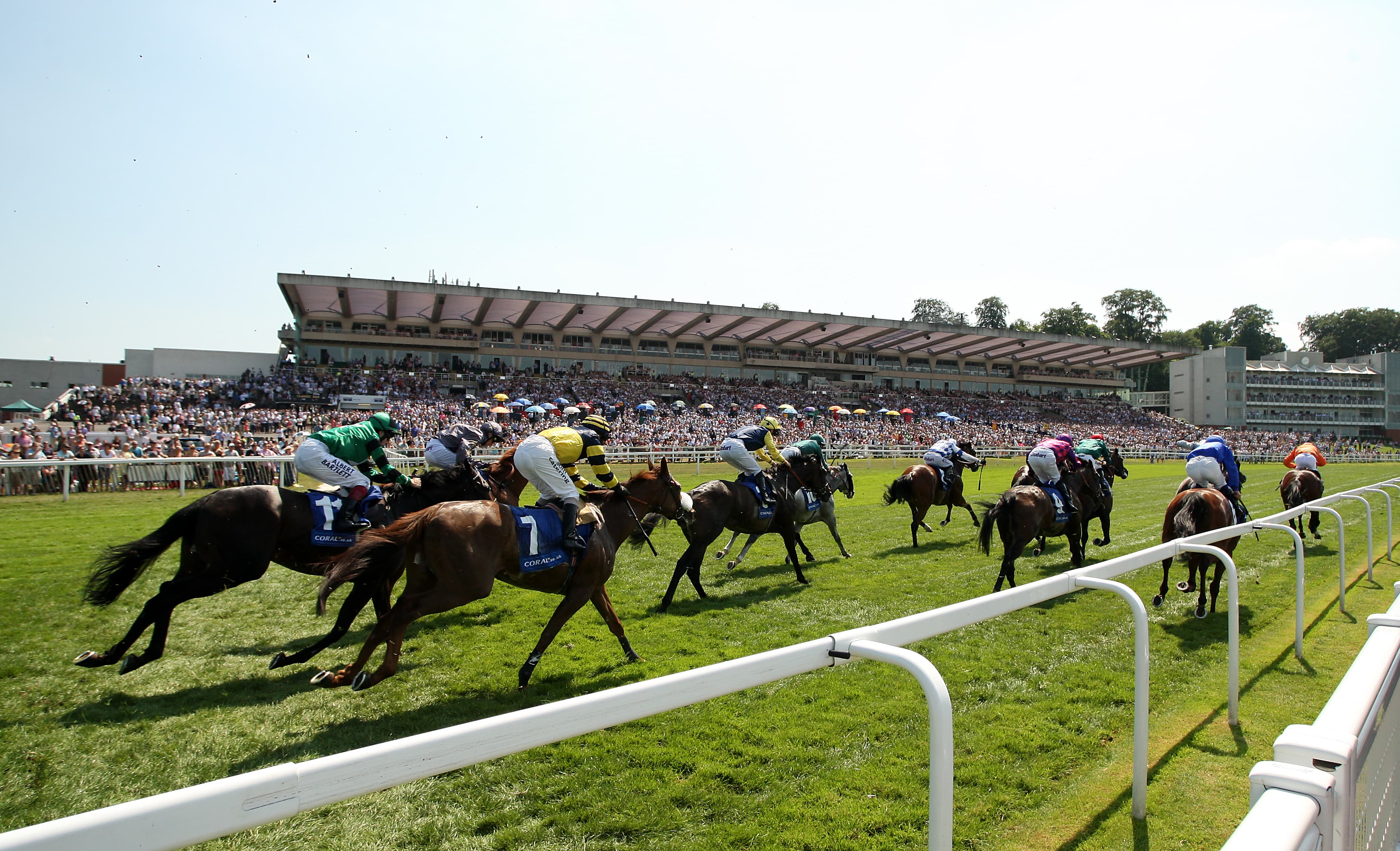 Sandown Saturday Preview