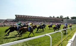 Sandown Saturday Preview image