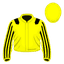 Masonbrook Meadow silk