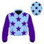 Elashgar silk