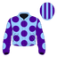 Paladin silk