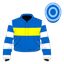 Pierre Royal silk