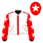 Seeing Stars silk