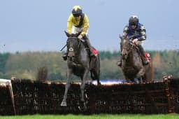 Cheltenham Festival 2025 News: Marine Nationale Wins Poignant Champion Chase image