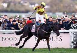 Cheltenham Festival 2025 News: Galopin Des Champs To Take On Eight Rivals In Bid For Gold Cup Immortality image