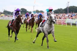 Doncaster St Leger Day Four Preview image