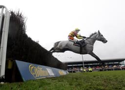 Kempton Sunday Jumps Preview image